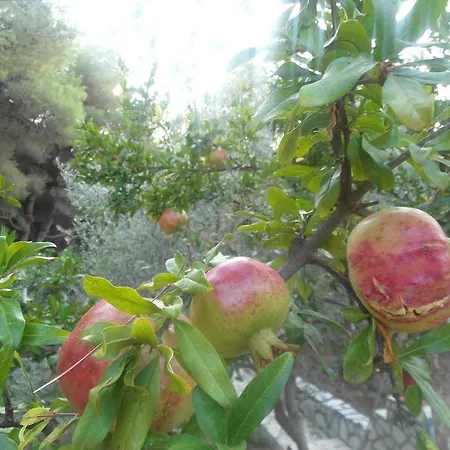 La Mirage * Néa Fókaia