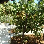 La Mirage شقة