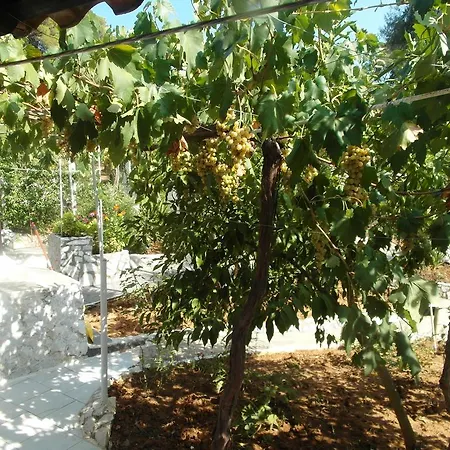 La Mirage Appartement