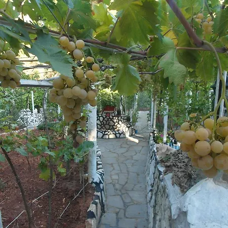 Appartement La Mirage