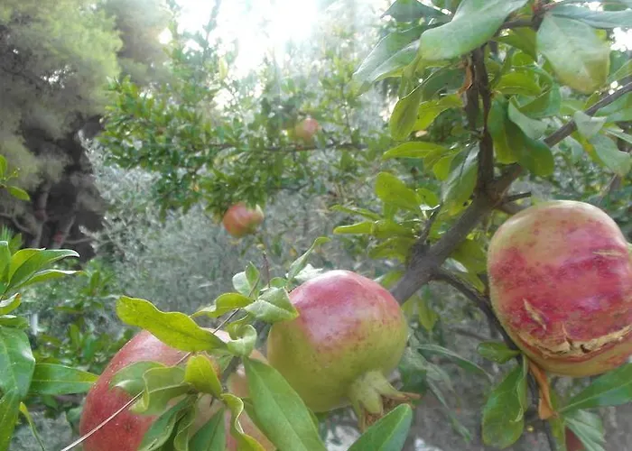 La Mirage * Néa Fókaia