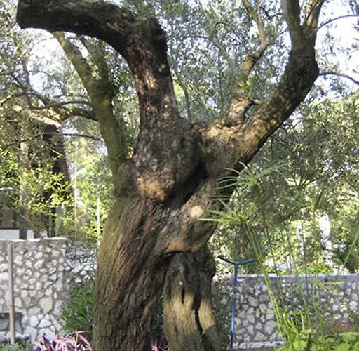 Appartamento La Mirage